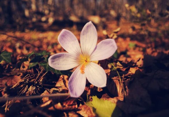 Осенние походы по Крыму