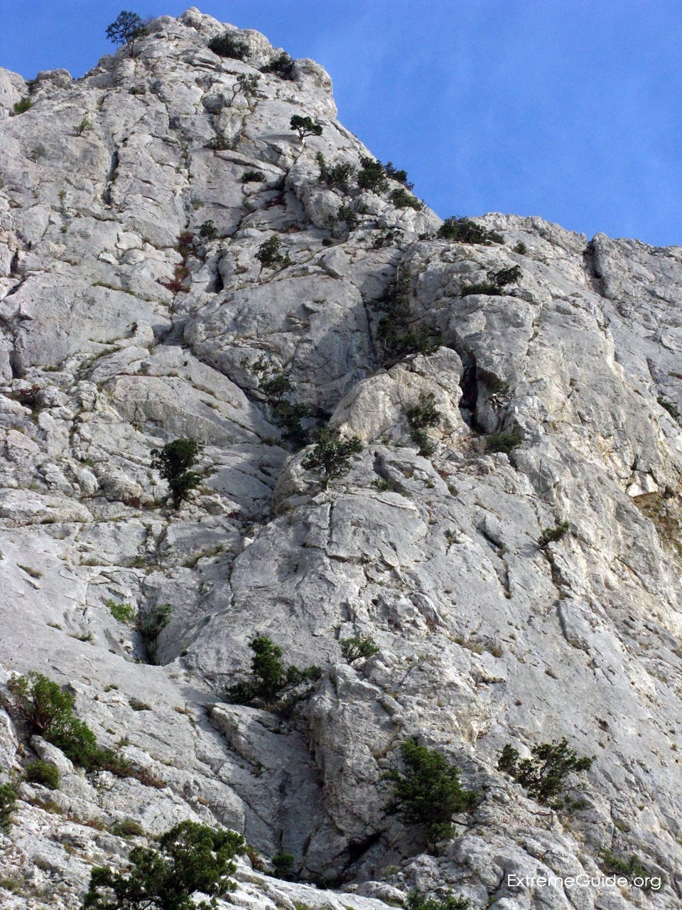 контрфорс Филатовой