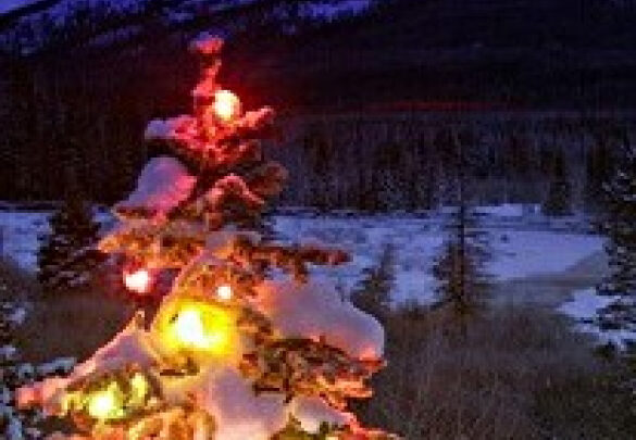 C Новым годом, дорогие друзья!