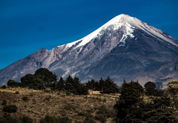 Північна Америка