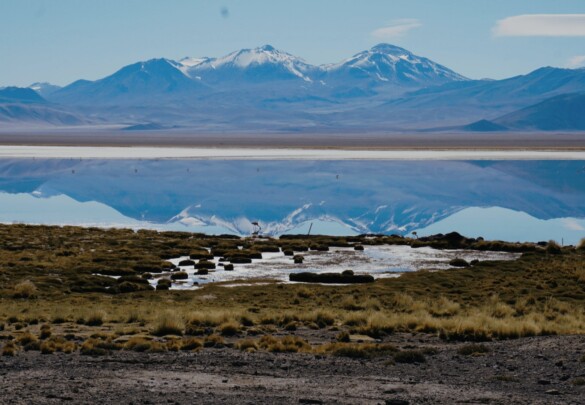 Південна Америка