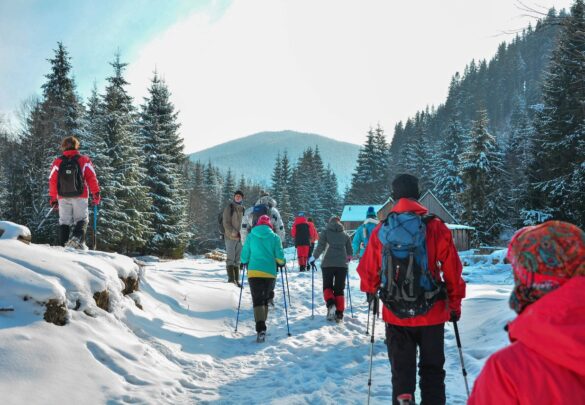 Гірські маршрути для зимового трекінгу: особливості та підготовка