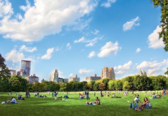 Черногория Отзывы о мероприятии “Красоты Дурмитора”: