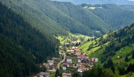 Moieciu-in-the-summer