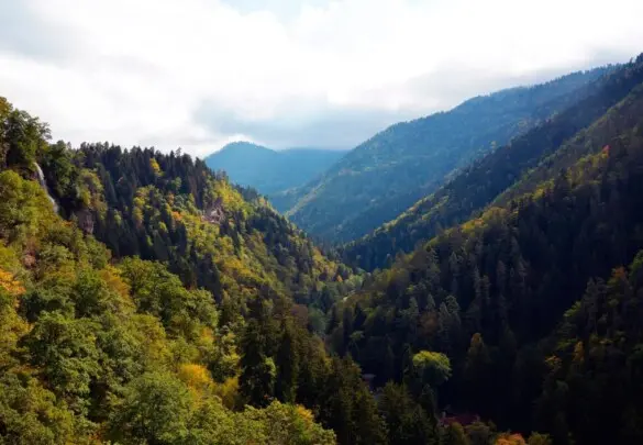 Похід по  Боржомі-Харгаулі,  Грузія