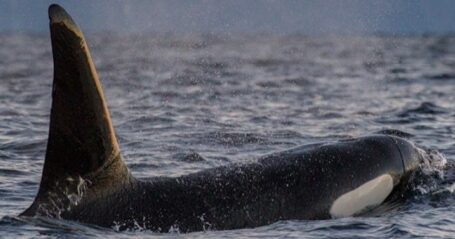 20140119-L8E8460kl-1140×340