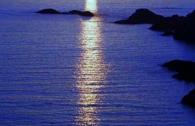 4506478918_52a0e19321_b