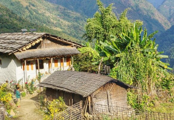 Отчет Олега Иванченко о треккинге к Канченджанге + Dhorma Ri (6070 м.), Непал, ноябрь, 2017, часть 3