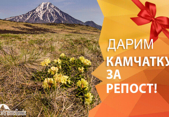 Итоги конкурса: Дарим 1 место в путешествии на Камчатку за репост