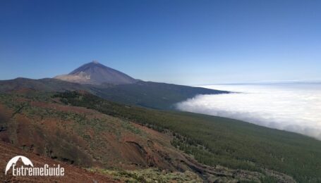 65392177_2153350741440409_1042889845552185344_o