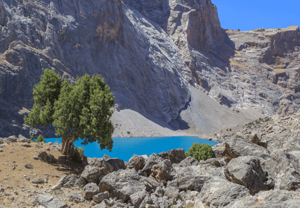 Фанские горы. Часть 4. Озеро Алло (3150 м) и дорога домой