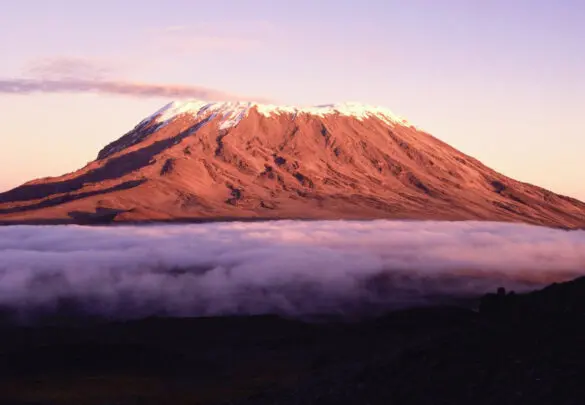 Сходження на Кіліманджаро + сафарі у нац. парках Маньяра та Нгоро Нгоро