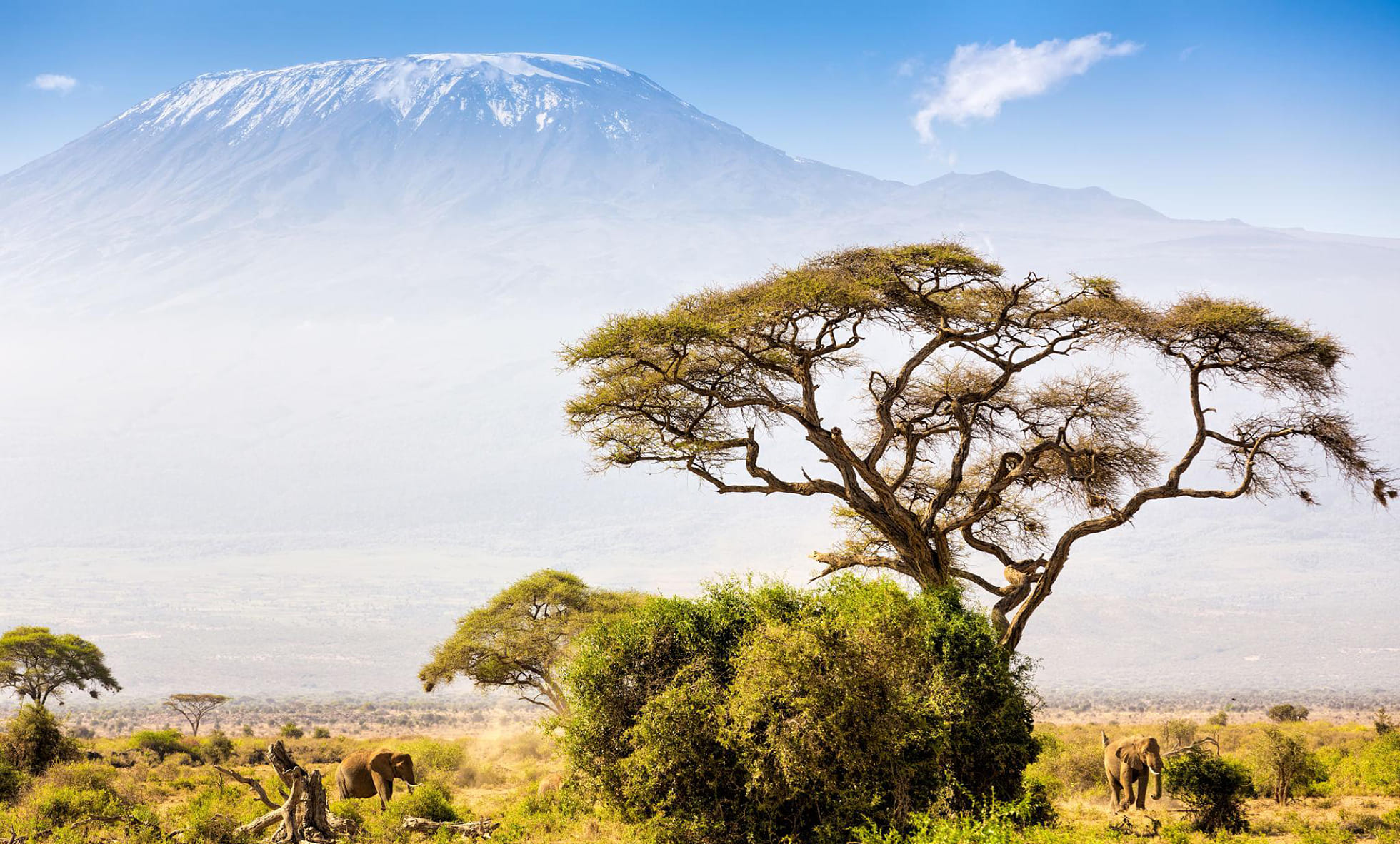 kili-9days-main