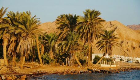 photo_2020-11-12_10-34-17