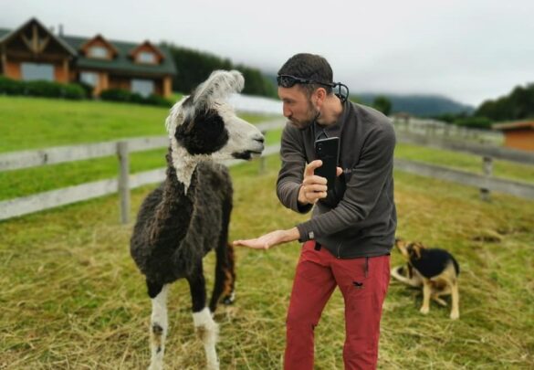 Краткие итоги января, 20 года от нашего гида – Ярослава Рачинского