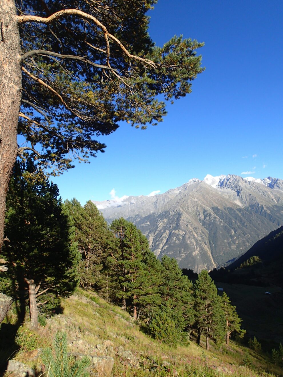 восхождение на Эльбрус отзывы