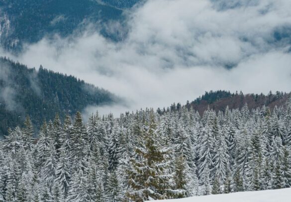 Зимові сходження  на г. Хом’як та г. Петрос,  з ночівлями в будинку