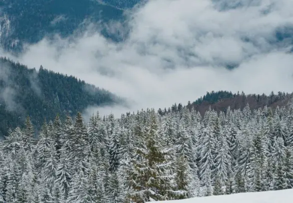 Зимові сходження  на г. Хом’як та г. Петрос,  з ночівлями в будинку