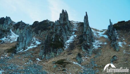 shpitsi-nesamovite11