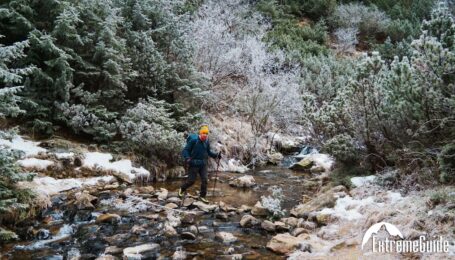 shpitsi-nesamovite12