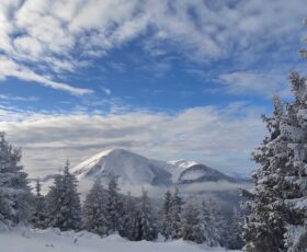 Hoverla Climbing Winter, 1 Day - ExtremeGuide