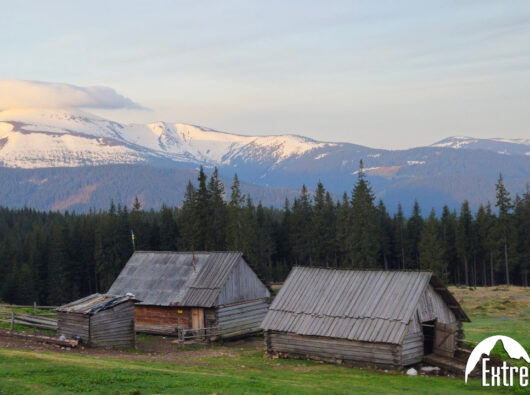 photo_20124-04-22_13-39-51-(2)