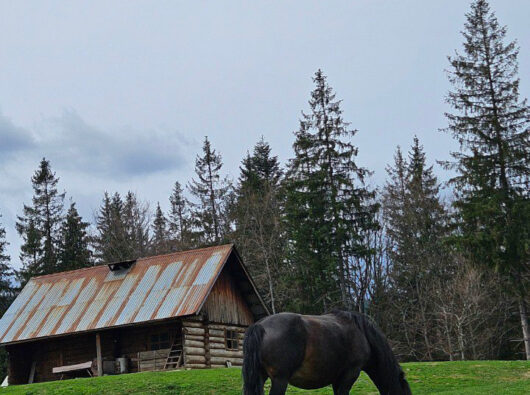 photo_20224-04-22_13-39-52-(2)