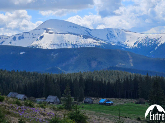 photo_2024-04-22_13-39-51-(2)