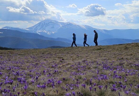 «ЗА КРОКУСАМИ НА КУКУЛЬ І КОСТРИЧ»: похід + рафтинг