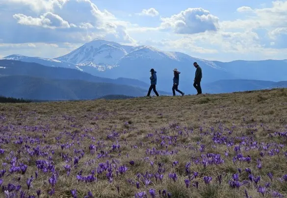 «ЗА КРОКУСАМИ НА КУКУЛЬ І КОСТРИЧ»: похід + рафтинг