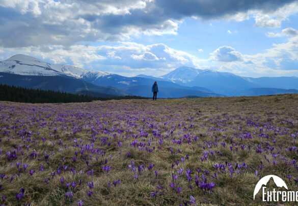 Хребет Костричі