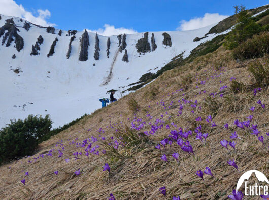 photo_2024-04-22_13-39-53-(6)