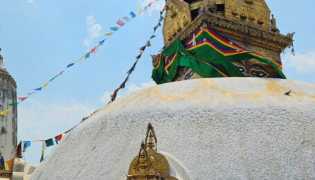 KOLORO_1682679428173