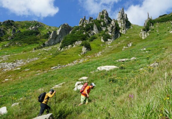 Літній інтенсив з альпінізму  на г. Шпиці і Ребра