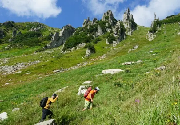 Літній інтенсив з альпінізму  на г. Шпиці і Ребра
