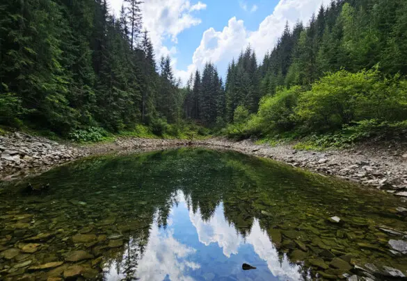 “Краса Аршиці та озера Росохан” Похід Горганами (Україна)