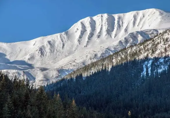 Школа альпінізму в Карпатах зимові г. Ребра і г. Гутин Томнатик