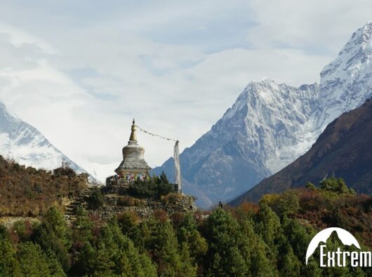 KOLORO_1698826091283-min