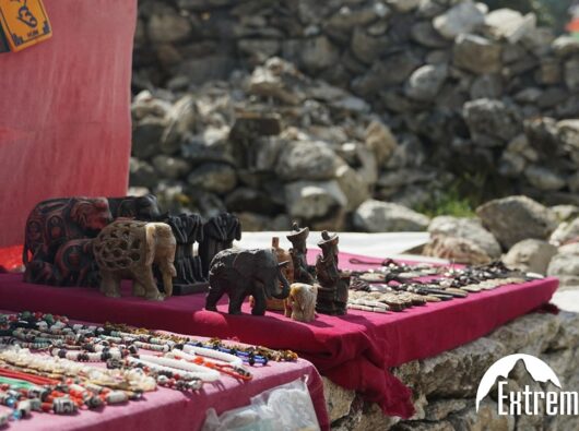 KOLORO_1698826425829-min