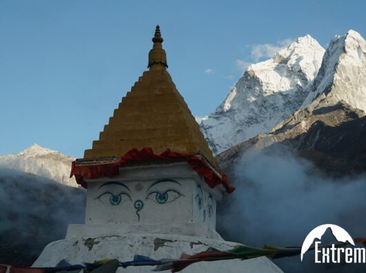 KOLORO_1701003860442-min