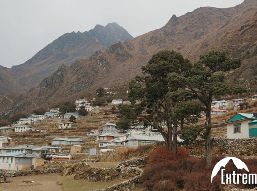 KOLORO_1701004364484-min