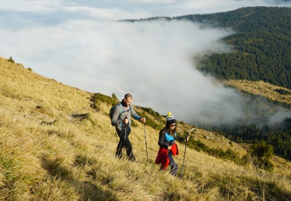 Осінній відпочинок у Карпатах