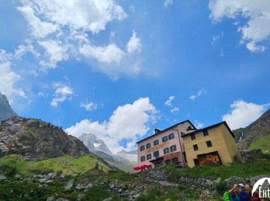 photo_2024-11-06_21-40-057