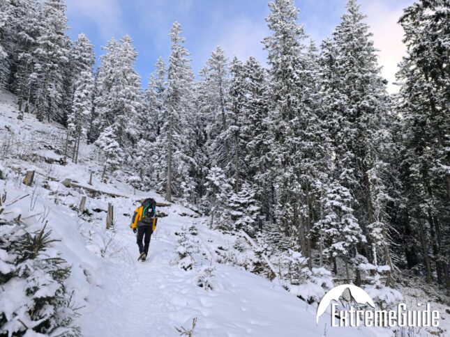 climbing the mountain