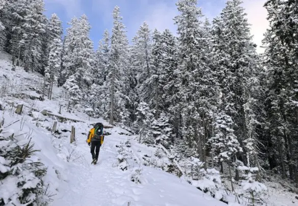 Зимове сходження в Татрах на г. Герлаховський Штіт (2655 м)