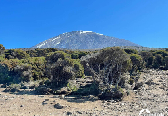 ТОП 5 вершин для новичков